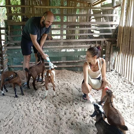 Yaoisland Resort And Farm Ko Yao Zewnętrze zdjęcie
