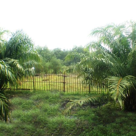 Yaoisland Resort And Farm Ko Yao Zewnętrze zdjęcie