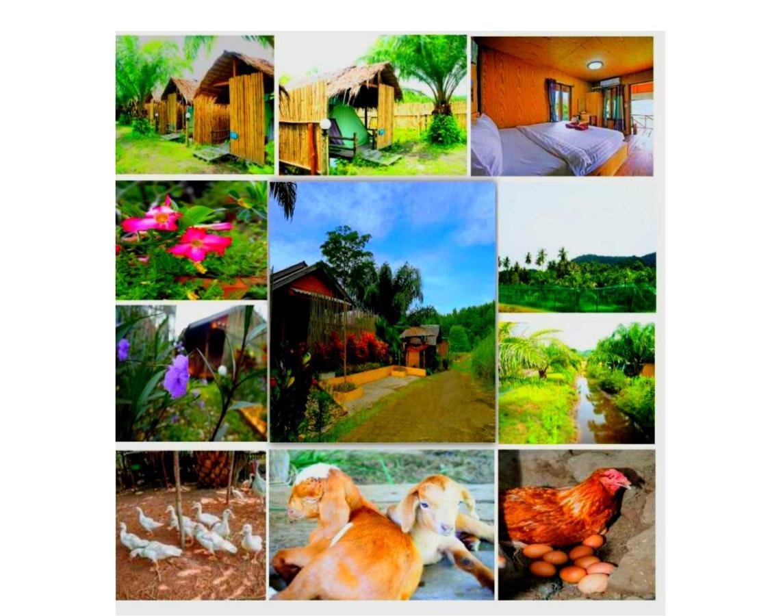 Yaoisland Resort And Farm Ko Yao Zewnętrze zdjęcie
