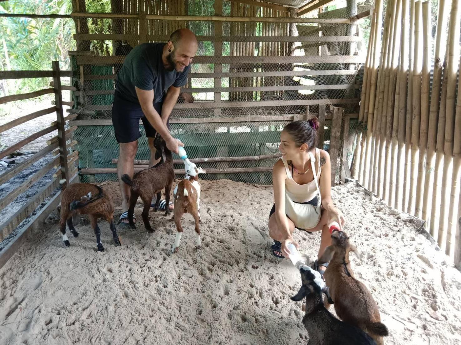 Yaoisland Resort And Farm Ko Yao Zewnętrze zdjęcie