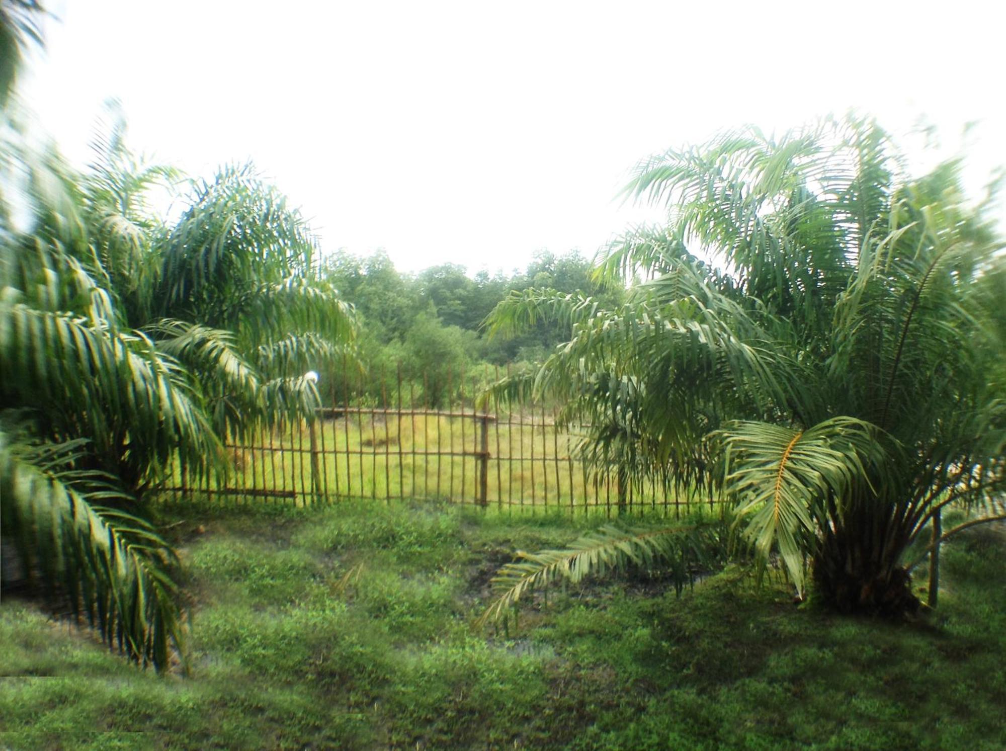 Yaoisland Resort And Farm Ko Yao Zewnętrze zdjęcie