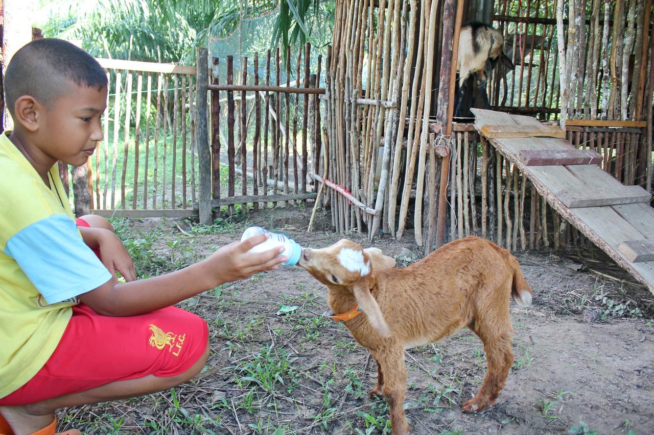 Yaoisland Resort And Farm Ko Yao Zewnętrze zdjęcie