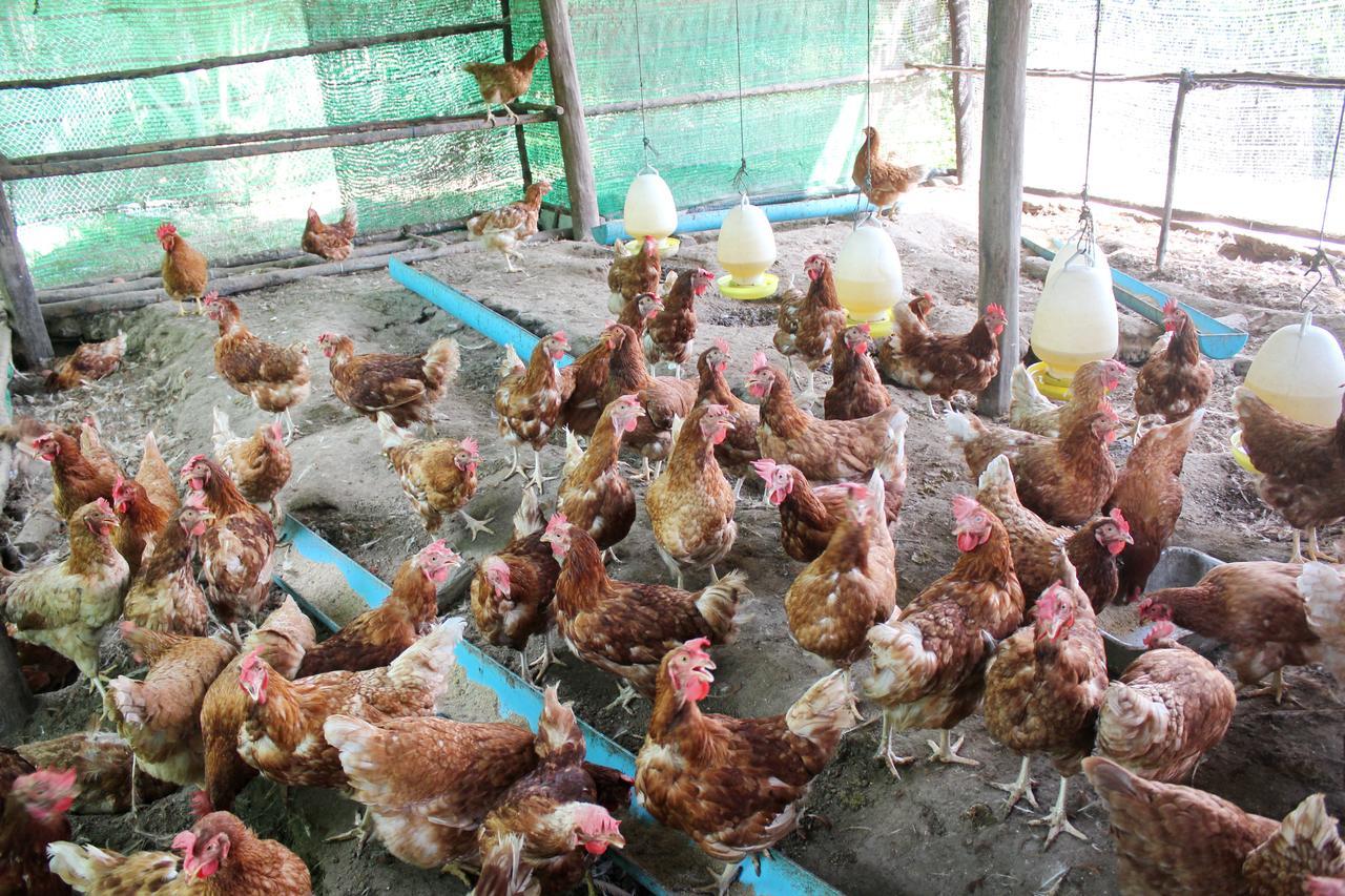 Yaoisland Resort And Farm Ko Yao Zewnętrze zdjęcie
